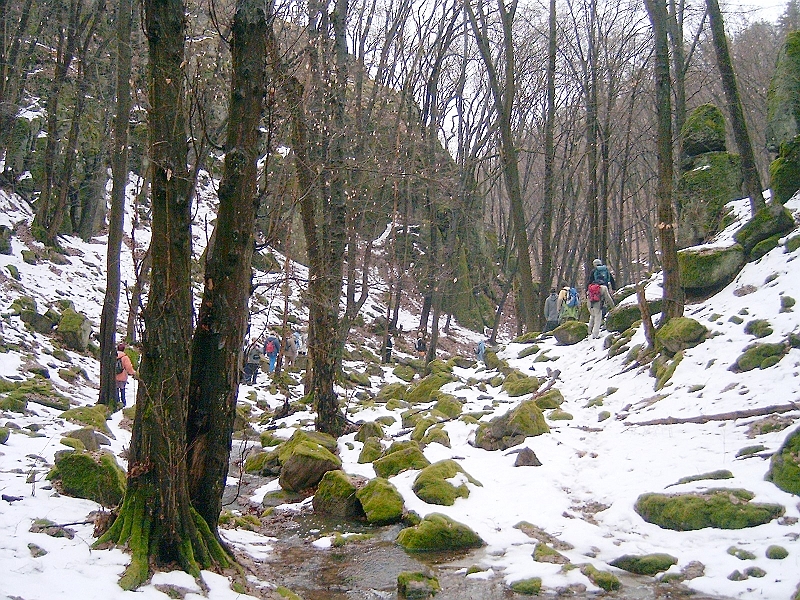 20100220 054.jpg